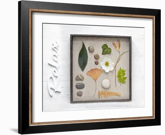 Still Life, Frames, Collection, Natural Materials, Stroke, 'Relax'-Andrea Haase-Framed Photographic Print