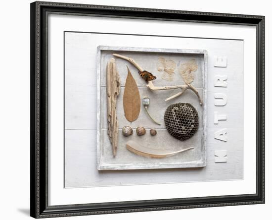 Still Life, Frames, Collection, Natural Materials-Andrea Haase-Framed Photographic Print