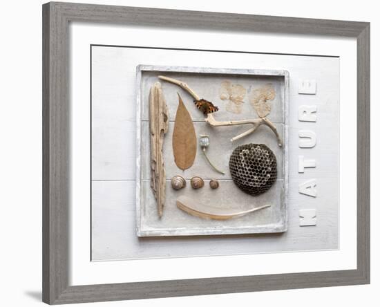 Still Life, Frames, Collection, Natural Materials-Andrea Haase-Framed Photographic Print