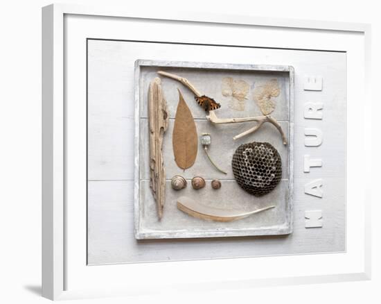 Still Life, Frames, Collection, Natural Materials-Andrea Haase-Framed Photographic Print