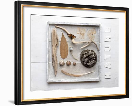 Still Life, Frames, Collection, Natural Materials-Andrea Haase-Framed Photographic Print