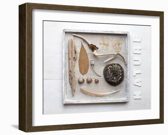 Still Life, Frames, Collection, Natural Materials-Andrea Haase-Framed Photographic Print