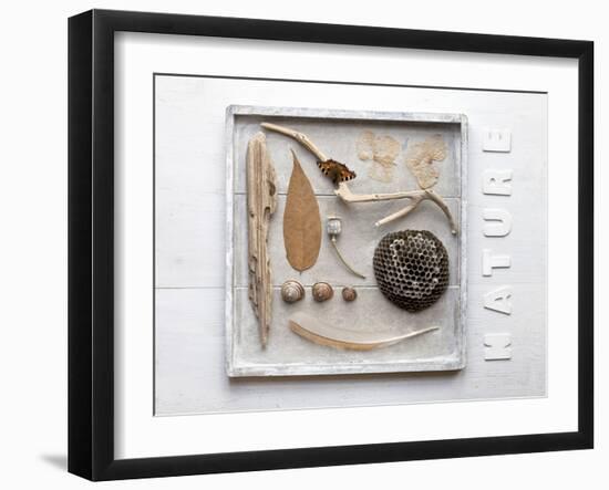 Still Life, Frames, Collection, Natural Materials-Andrea Haase-Framed Photographic Print