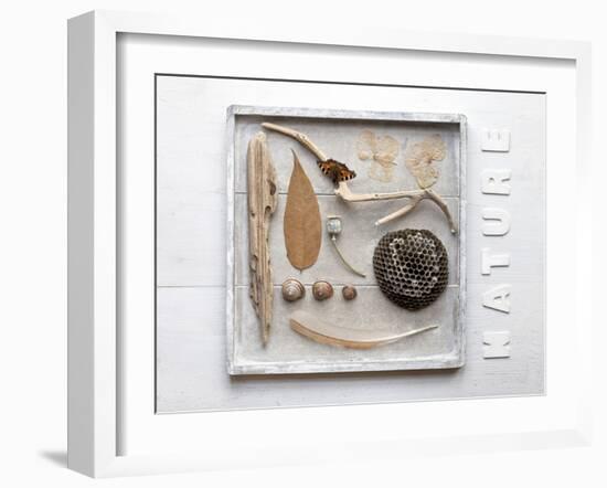 Still Life, Frames, Collection, Natural Materials-Andrea Haase-Framed Photographic Print