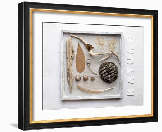 Still Life, Frames, Collection, Natural Materials-Andrea Haase-Framed Photographic Print