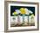 Still Life Freesias-Christopher Ryland-Framed Giclee Print