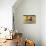 Still Life Fruit-Paula Modersohn-Becker-Mounted Art Print displayed on a wall