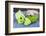 Still Life, Green, Bird Houses, Heart, Bowl, Cherry Blossoms-Andrea Haase-Framed Photographic Print