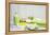 Still Life, Green, Fountainness, Bath-Andrea Haase-Framed Premier Image Canvas