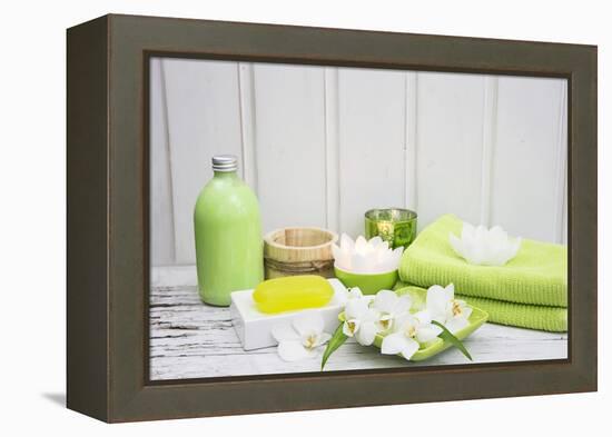 Still Life, Green, Fountainness, Bath-Andrea Haase-Framed Premier Image Canvas