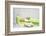 Still Life, Green, Fountainness, Bath-Andrea Haase-Framed Photographic Print