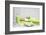 Still Life, Green, Fountainness, Bath-Andrea Haase-Framed Photographic Print