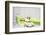 Still Life, Green, Fountainness, Bath-Andrea Haase-Framed Photographic Print