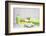 Still Life, Green, Fountainness, Bath-Andrea Haase-Framed Photographic Print