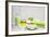 Still Life, Green, Fountainness, Bath-Andrea Haase-Framed Photographic Print