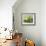 Still Life in Green-null-Framed Art Print displayed on a wall