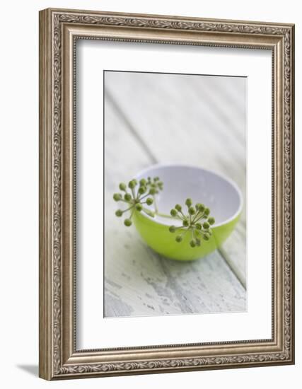 Still Life, Ivy Blossoms, Bowls, Green, White-Andrea Haase-Framed Photographic Print