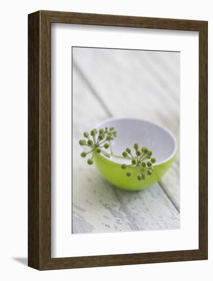 Still Life, Ivy Blossoms, Bowls, Green, White-Andrea Haase-Framed Photographic Print