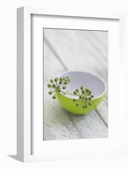 Still Life, Ivy Blossoms, Bowls, Green, White-Andrea Haase-Framed Photographic Print