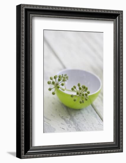 Still Life, Ivy Blossoms, Bowls, Green, White-Andrea Haase-Framed Photographic Print