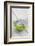 Still Life, Ivy Blossoms, Bowls, Green, White-Andrea Haase-Framed Photographic Print