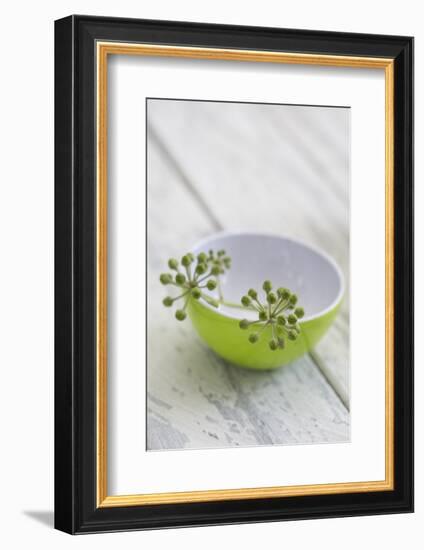 Still Life, Ivy Blossoms, Bowls, Green, White-Andrea Haase-Framed Photographic Print