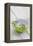 Still Life, Ivy Blossoms, Bowls, Green, White-Andrea Haase-Framed Premier Image Canvas