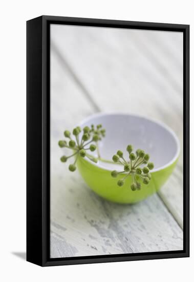 Still Life, Ivy Blossoms, Bowls, Green, White-Andrea Haase-Framed Premier Image Canvas