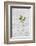 Still Life, Ivy Blossoms, Green, Glass Bottle, White-Andrea Haase-Framed Photographic Print