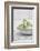 Still Life, Ivy Blossoms, Green, Stone Cup, Grey, White-Andrea Haase-Framed Photographic Print