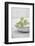 Still Life, Ivy Blossoms, Green, Stone Cup, Grey, White-Andrea Haase-Framed Photographic Print