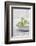 Still Life, Ivy Blossoms, Green, Stone Cup, Grey, White-Andrea Haase-Framed Photographic Print