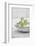 Still Life, Ivy Blossoms, Green, Stone Cup, Grey, White-Andrea Haase-Framed Photographic Print