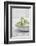 Still Life, Ivy Blossoms, Green, Stone Cup, Grey, White-Andrea Haase-Framed Photographic Print