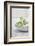 Still Life, Ivy Blossoms, Green, Stone Cup, Grey, White-Andrea Haase-Framed Photographic Print