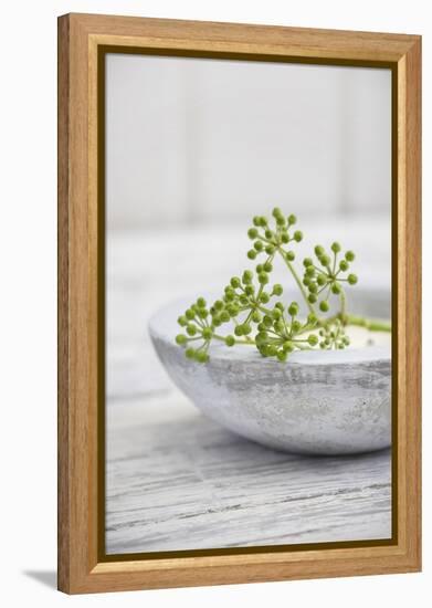 Still Life, Ivy Blossoms, Green, Stone Cup, Grey, White-Andrea Haase-Framed Premier Image Canvas