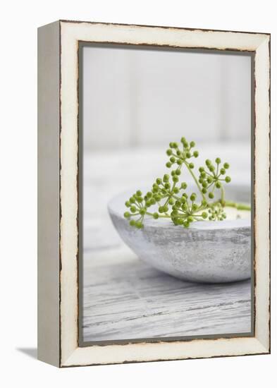 Still Life, Ivy Blossoms, Green, Stone Cup, Grey, White-Andrea Haase-Framed Premier Image Canvas