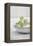 Still Life, Ivy Blossoms, Green, Stone Cup, Grey, White-Andrea Haase-Framed Premier Image Canvas