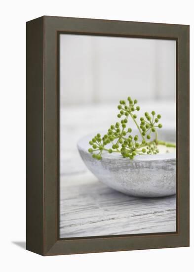 Still Life, Ivy Blossoms, Green, Stone Cup, Grey, White-Andrea Haase-Framed Premier Image Canvas