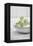 Still Life, Ivy Blossoms, Green, Stone Cup, Grey, White-Andrea Haase-Framed Premier Image Canvas