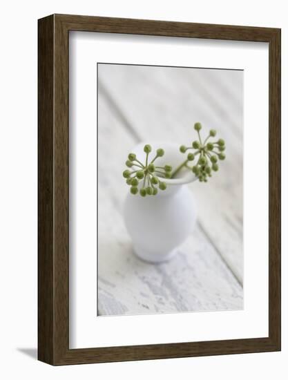 Still Life, Ivy Blossoms, Green, Vase, White-Andrea Haase-Framed Photographic Print