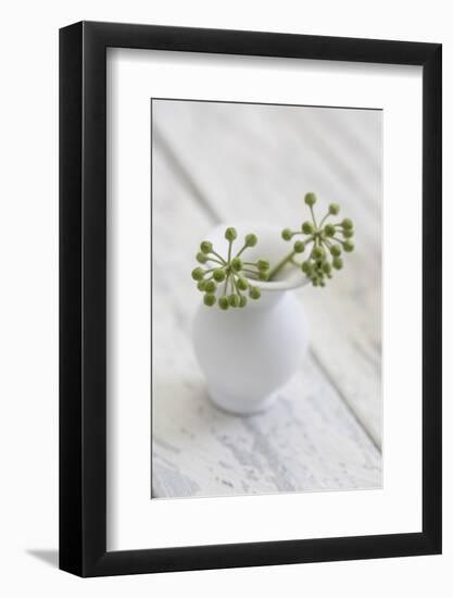 Still Life, Ivy Blossoms, Green, Vase, White-Andrea Haase-Framed Photographic Print