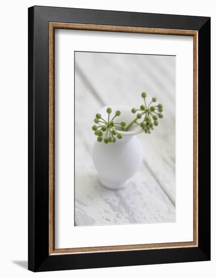 Still Life, Ivy Blossoms, Green, Vase, White-Andrea Haase-Framed Photographic Print