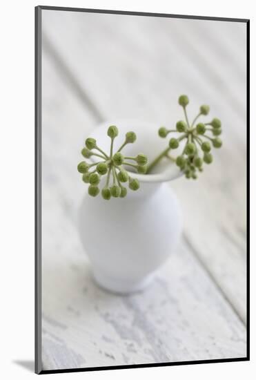 Still Life, Ivy Blossoms, Green, Vase, White-Andrea Haase-Mounted Photographic Print