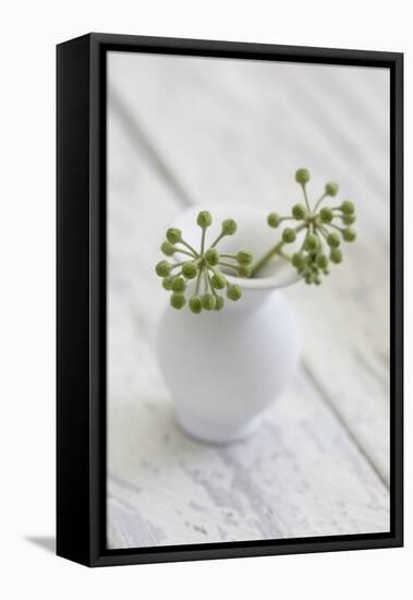 Still Life, Ivy Blossoms, Green, Vase, White-Andrea Haase-Framed Premier Image Canvas