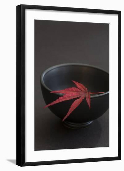 Still Life, Maple Leaf, Red, Bowl, Black, Still Life-Andrea Haase-Framed Photographic Print