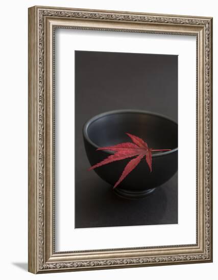 Still Life, Maple Leaf, Red, Bowl, Black, Still Life-Andrea Haase-Framed Photographic Print