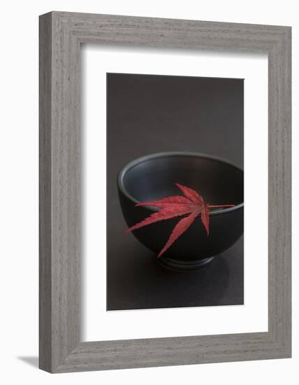 Still Life, Maple Leaf, Red, Bowl, Black, Still Life-Andrea Haase-Framed Photographic Print