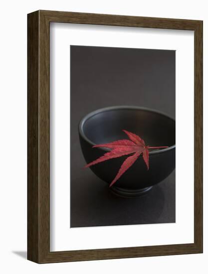 Still Life, Maple Leaf, Red, Bowl, Black, Still Life-Andrea Haase-Framed Photographic Print