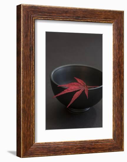 Still Life, Maple Leaf, Red, Bowl, Black, Still Life-Andrea Haase-Framed Photographic Print